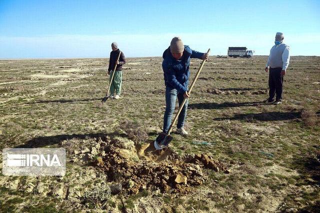 اجرای طرح مدیریت رواناب در منطقه خویسه شهرستان کارون