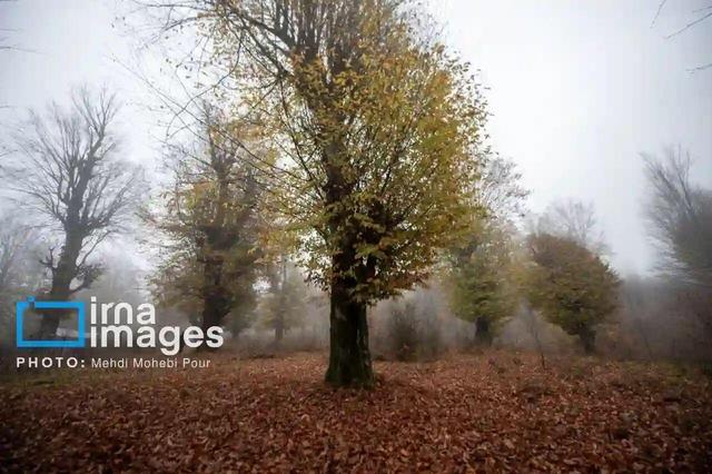 افزایش ۸۰ میلیمتری باران‌های پاییزی در کهگیلویه و بویراحمد