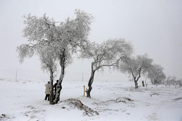 فیلم/ خراسان شمالی زیر چتر سفید برف