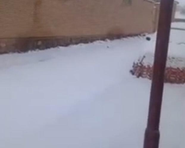 بارش بی‌سابقه برف در این منطقه کویری را ببینید