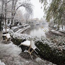 تصاویر: بارش شدید برف در مشهد