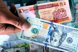 قیمت افغانی، امروز شنبه ۲۹ آذر ۱۴۰۴