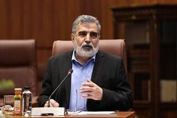 فیلم/ روایت کمالوندی از حمله به تاسیسات هسته‌ای ایران