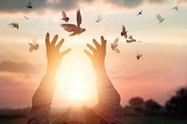 آزادی ۱۵ زندانی محکوم مالی در شب یلدا