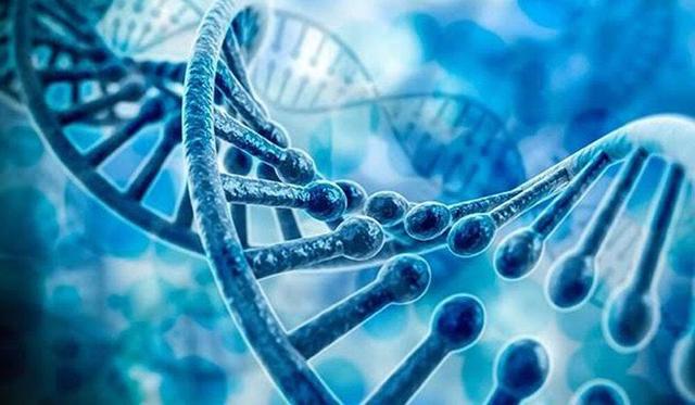 کشف یک جهش ژنتیکی که به بیماری‌های قلبی و عصبی منجر می‌شود
