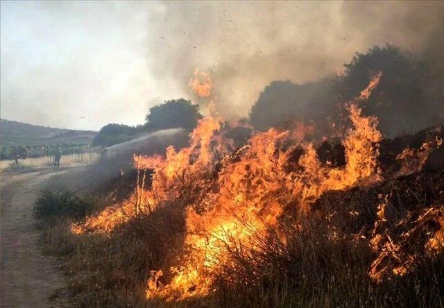 توضیحات رئیس کمیته منابع طبیعی مجلس درباره آتش‌سوزی‌های اخیر جنگل‌ها + ویدئو