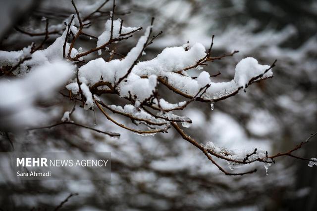 آغاز بارش برف در نیشابور