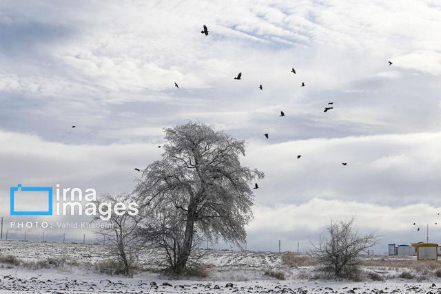 جهش بارندگی در خراسان شمالی؛ از ۶ به ۲۰ میلی‌متر