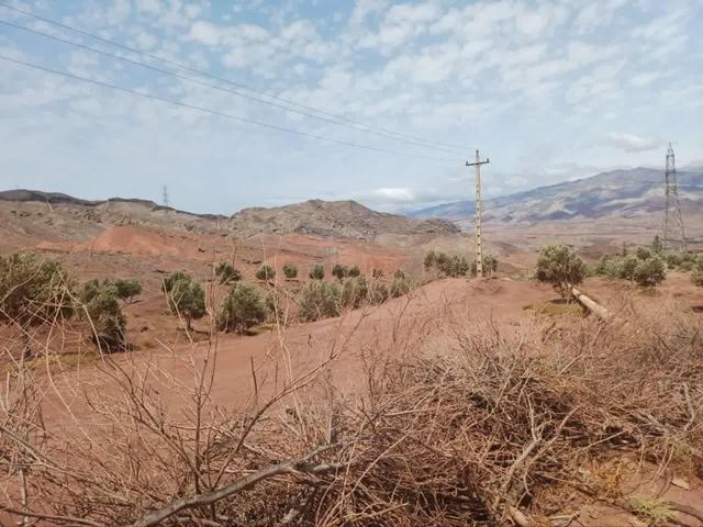 کشف زمین خواری ۳۰ هزار متری به ارزش ۳ همت در غرب تهران