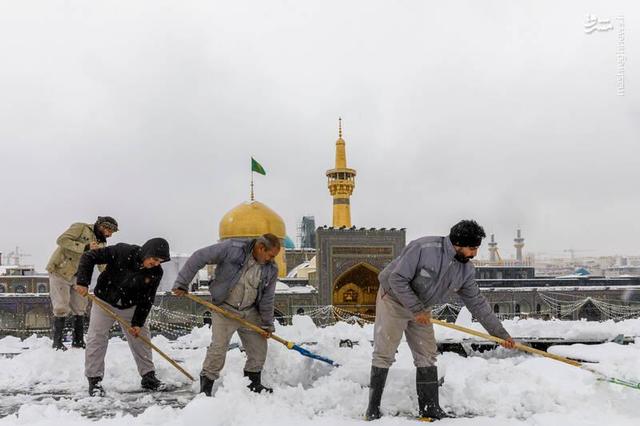 تصاویر جالب از برف‌روبی حرم امام رضا(ع)