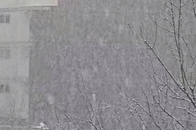 فیلم/ شدت بارش برف در شهر اسفراین