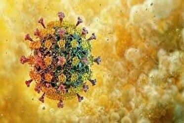 هشدار دانشگاه علوم پزشکی مشهد مبنی بر احتمال بروز پیک دوم آنفلوانزا در دی‌ماه