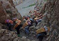 اضافه شدن ۱۰ کدتعرفه جدید به فهرست کالا‌های رویه کولبری