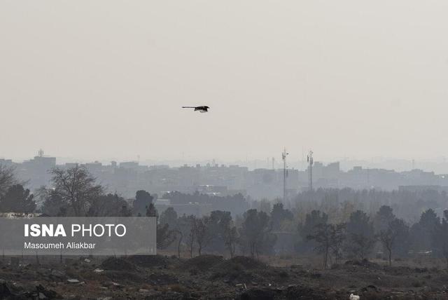 آلودگی هوای کلانشهرها/ عبور موج بارشی ضعیف از کشور