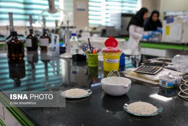 حمایت واقعی از پژوهشگران با تقویت آزمایشگاه‌ها و گرنت‌های پژوهشی محقق می‌شود