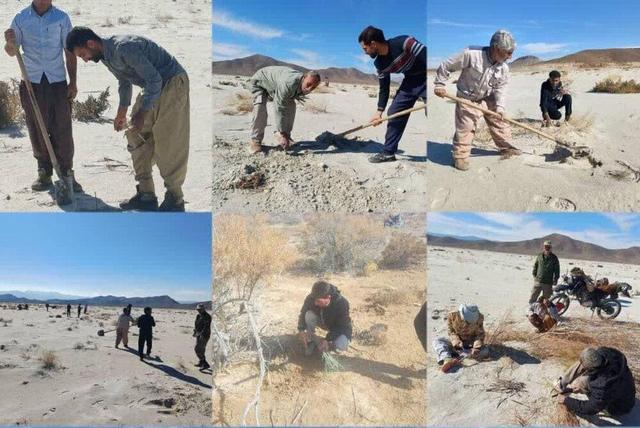 هم‌افزایی برای مهار ریزگردها در تالاب‌های طشک و بختگان فارس