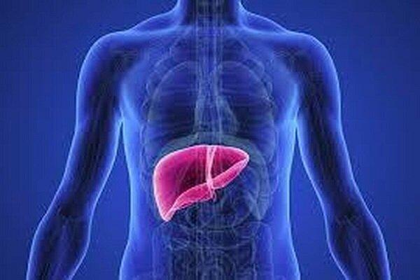 وقتی کبد بیصدا فریاد میزند / هشدار درباره بیماری قرن کمتحرکی