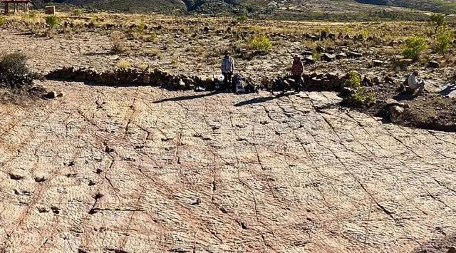 ببینید؛ ۱۶ هزار ردّپا از دایناسورهایی که ۶۶ میلیون سال قبل در اینجا می‌دویدند!