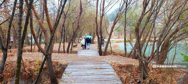 دمای منفی ۲۱ در این منطقه | بارش پراکنده در ۸ استان غربی