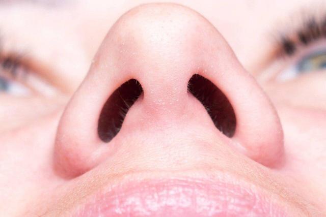 چرا به جای یک سوراخ بزرگ، دو سوراخ بینی داریم؟