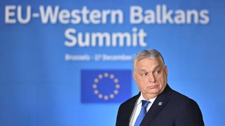 EU ‘crushed’ itself by sanctioning Russia – Orban