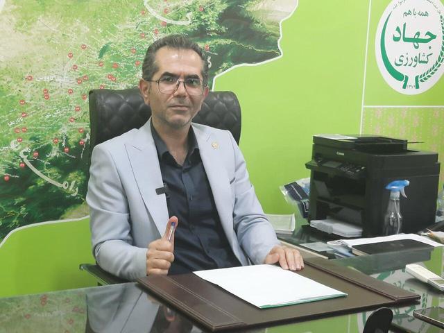 گلستان آماده جهش ۴۰ هزار هکتاری کشت باقلا