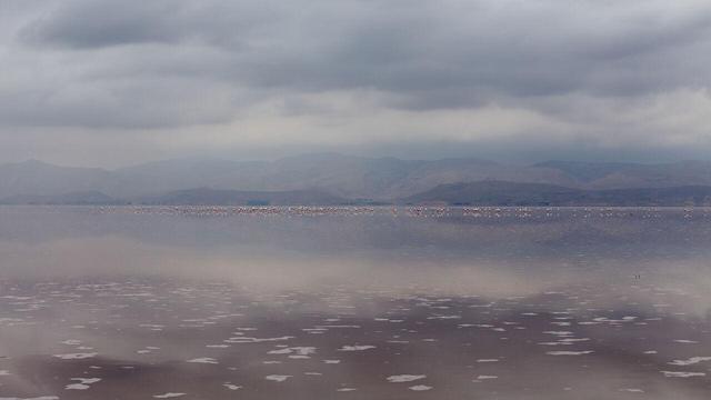 دریاچه صورتی مهارلو دوباره زنده شد؛ بازگشت فلامینگوها با بارش‌های پاییزی