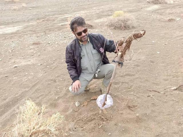 آغاز جمع‌آوری تله‌های غیرمجاز و پایش پرندگان مهاجر در سیستان و بلوچستان