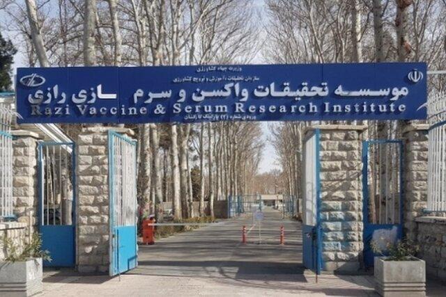آمادگی کامل مؤسسه رازی برای تأمین واکسن دامی و انتقال دانش فنی به کشورهای اسلامی