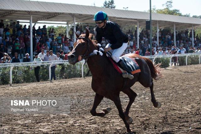 آغاز هفته هفتم مسابقات اسبدوانی کورس پاییزه - زمستانه گنبدکاووس از چهارشنبه سوم دی
