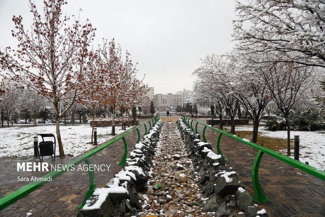 هوای مشهد سالم است؛۲ منطقه در وضعیت ناسالم