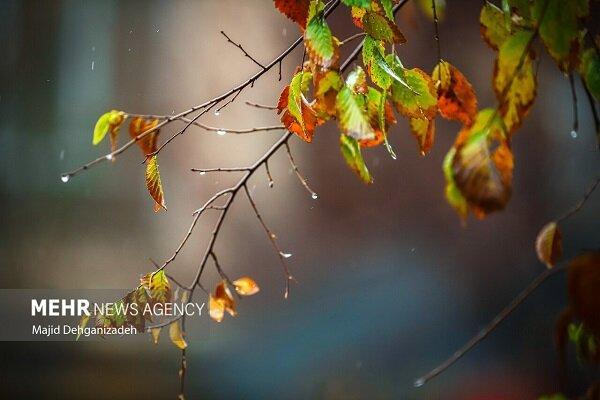 احمدی نژاد: سامانه بارشی ضعیف وارد ایلام می شود