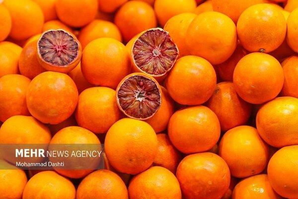 صادرات ۲۰۰ میلیون دلاری محصولات تازه و فرآوری شده مرکبات