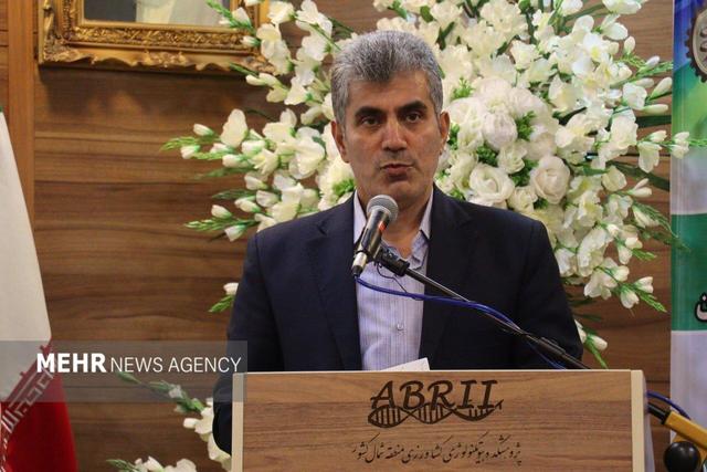 محمدی: کارآفرینی نیازمند حمایت مالی و قانونی است