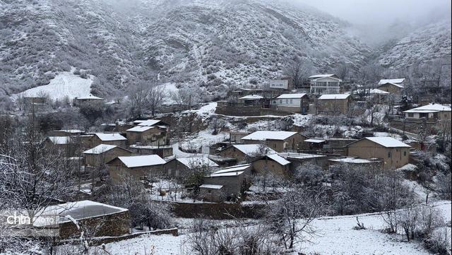 برف می بارد و سکوت حرف می زند