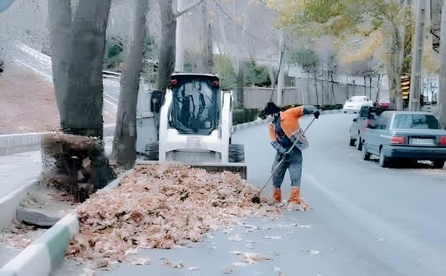 جمع آوری ۵۰۰ تن برگ درختان از معابر شهر خوانسار