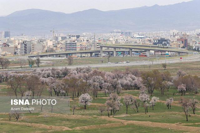 نقش باغستان سنتی در تلطیف هوای قزوین