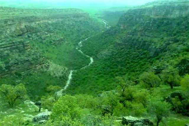 ضرورت نجات عروس زاگرس از چنگال بهره‌کشی‌های مغایر با توسعه/توسعه بدون محیط زیست، خسارت محض