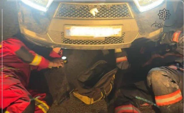 گربه بازیگوش آتش‌نشانان را به عملیات کشاند/ لزوم بازرسی بصری خودرو در فصول سرد