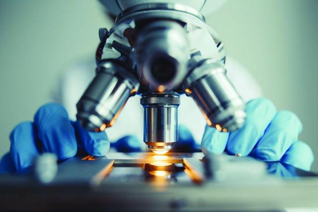 رویکرد تازه وزارت علوم برای جبران افت علمی کشور