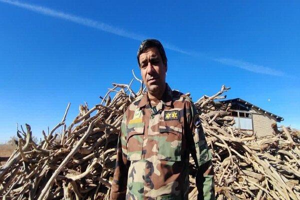 کشف ۲۳ تن چوب قاچاق در شهرستان سرایان