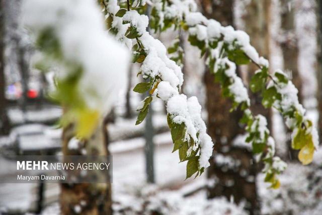 بارش برف در کاشان پیش بینی می‌شود