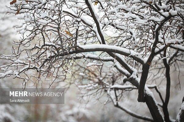 بارش برف در نورآباد
