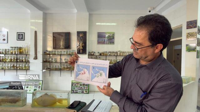 فیلم | نقش تحقیقات شیلاتی آب‌های دور چابهار در شناخت ذخایر دریایی سواحل مَکُران