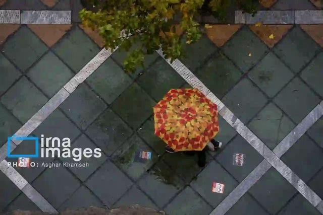 هشدار سطح زرد هواشناسی برای بوشهر؛ فعالیت سامانه بارشی تا اواسط هفته آینده