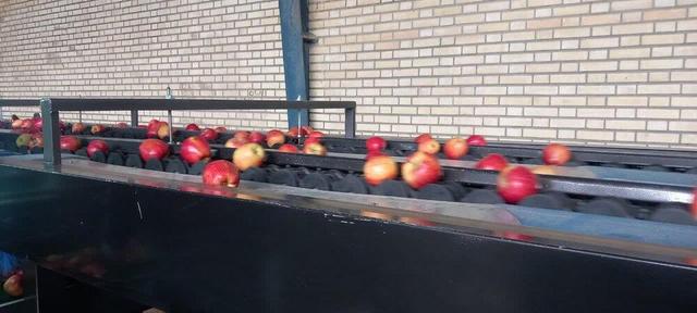 افتتاح سردخانه دو هزار تنی و دو واحد سورتینگ بسته بندی میوه در اشنویه