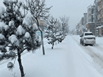 شمال کشور برفی می شود