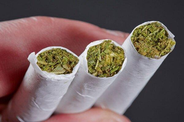 عوارض تکان‌دهنده مخدر گل