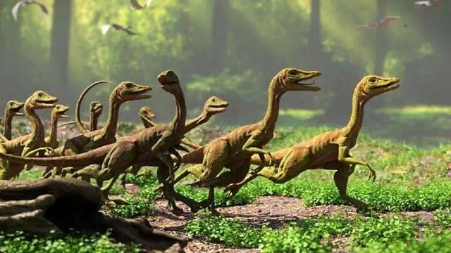 ببینید | کشف ردپای دایناسور با قدمت ۲۰۰ میلیون سال!