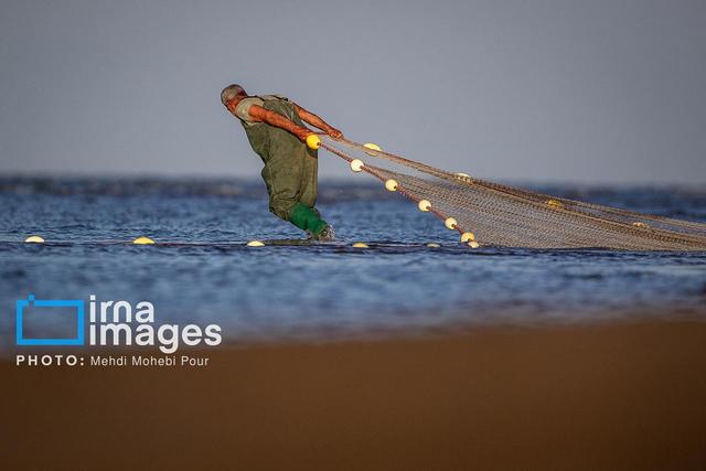 صید ماهی در دریای خزر متوقف شد